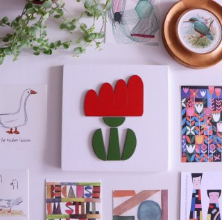 Tulipan